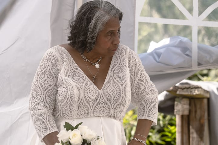 Curtis & Josephine Wedding, photo 148