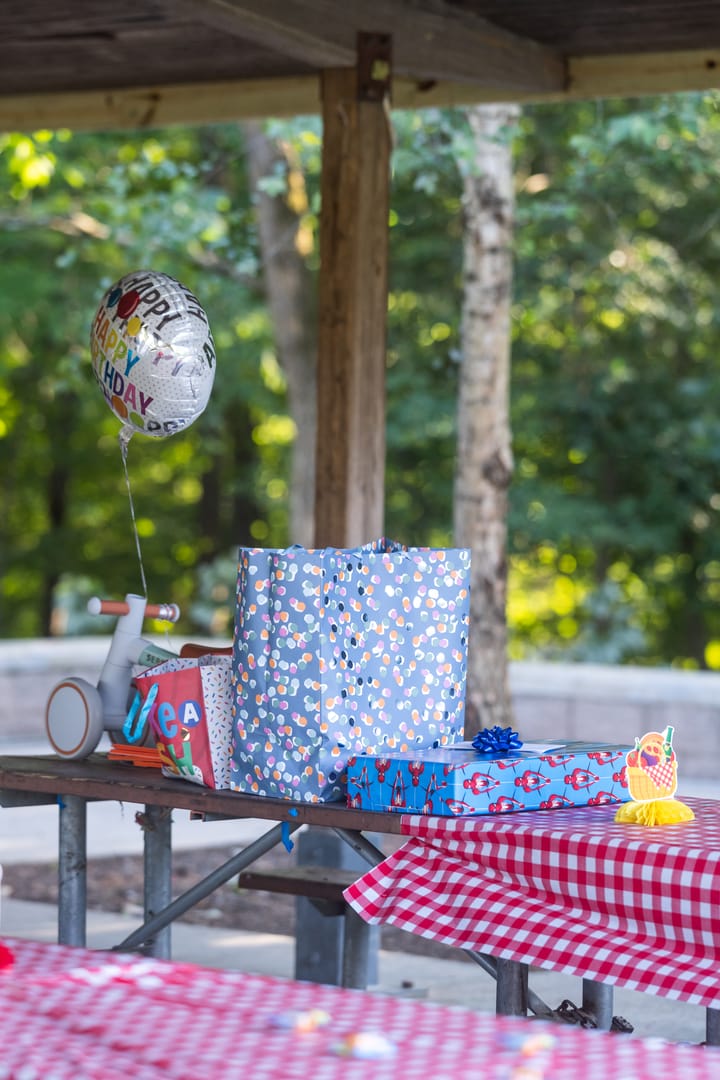 Drake's 2nd Birthday, photo 29