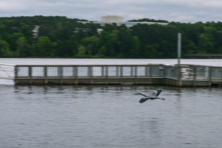Portrait Sessions at Lake Crabtree, photo 35